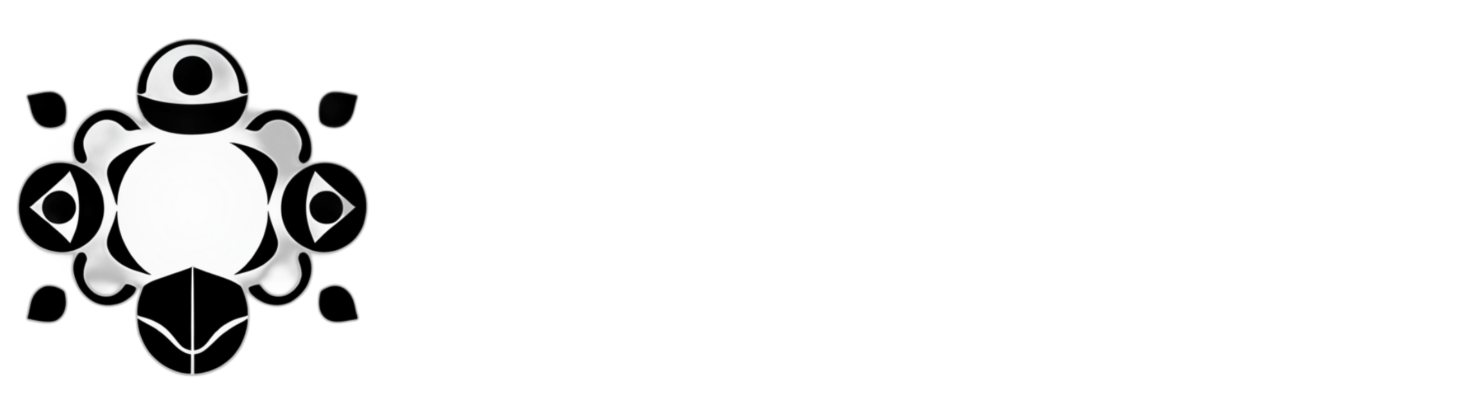 Logo paracicatrices.com